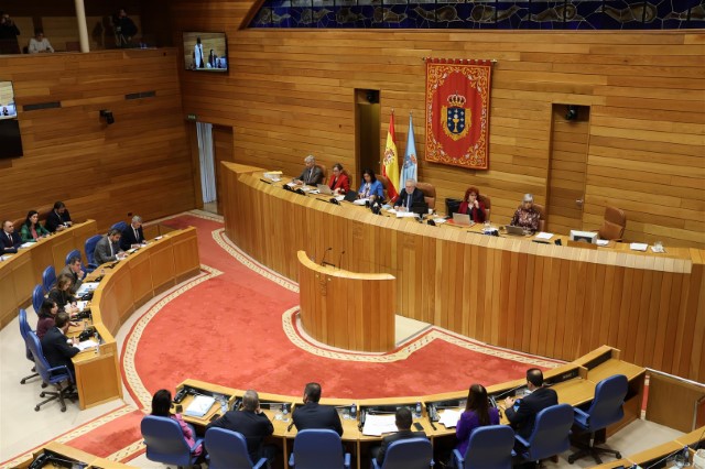 Proposicións non de lei aprobadas polo Pleno do Parlamento de Galicia o 18 de decembro de 2024